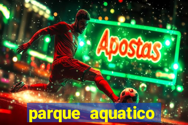 parque aquatico tina rolf salvador bahia